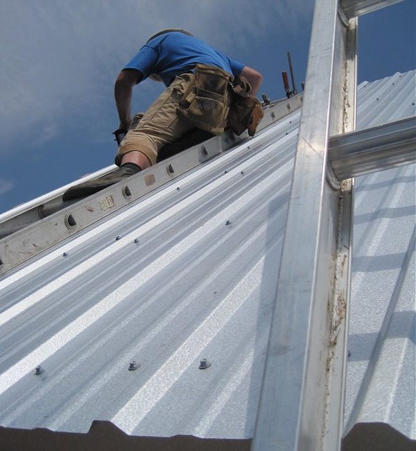 Roofers on roof to install metal roof over shingles